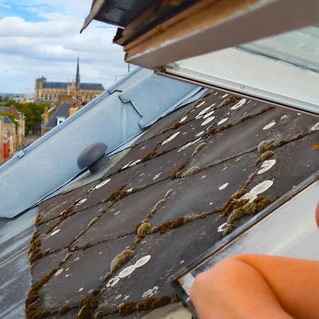 Iflex - 2p A 4p En Duplex - Henriville Apartamento *